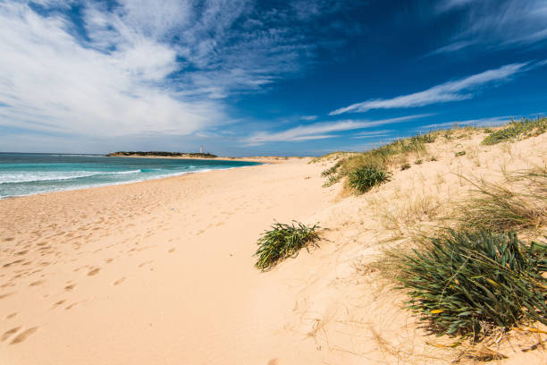 istock Zahara de los Atunes sandy beach and dunes,Spain 658381206