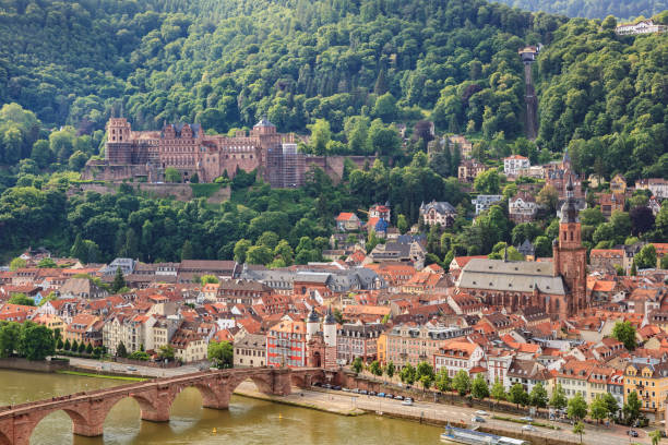 istock Heidelberg city skyline, Germany 658381432