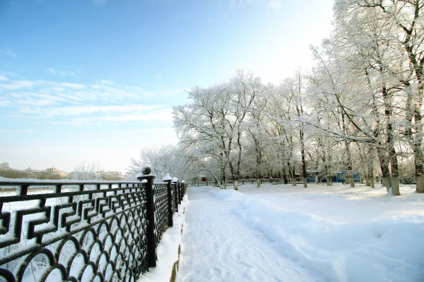 istock fence covered snow winter park 658383800