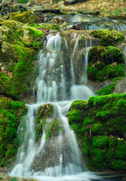 istock Mountain creek on the two cascades with clear water. 658388972