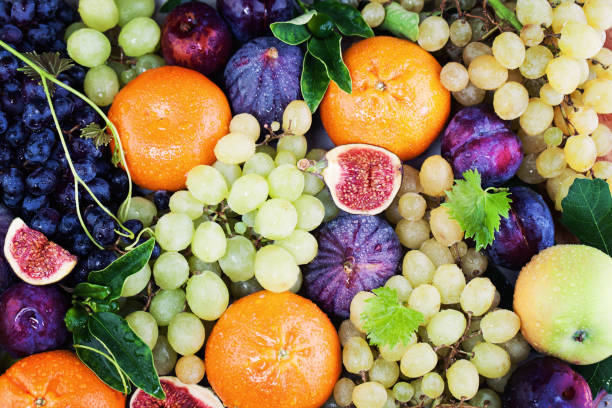 istock Fruits Background with Plum, Apple, Grape and Tangerines 658389062