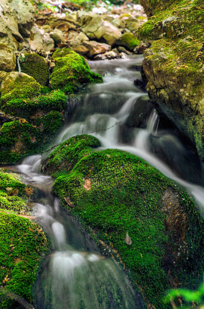 istock Mountain fast stream with stones with clear pure water. 658389240
