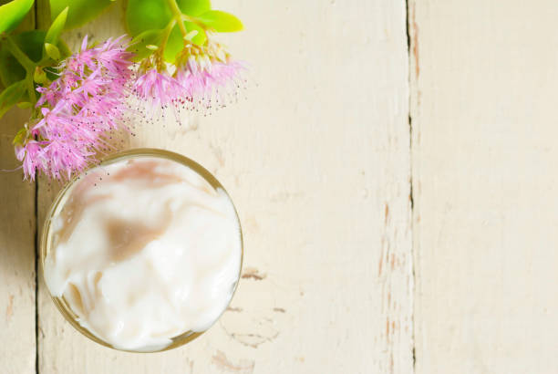 istock Thick leaf flower and health care creams 658392078