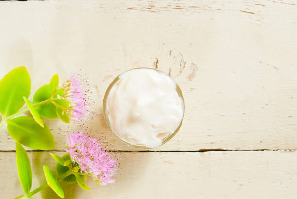 istock Thick leaf flower and health care creams 658392134