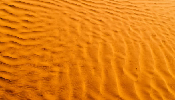 istock Beer color desert. Modern and contemporary wallpaper for interior design. Background and Texture 658401154