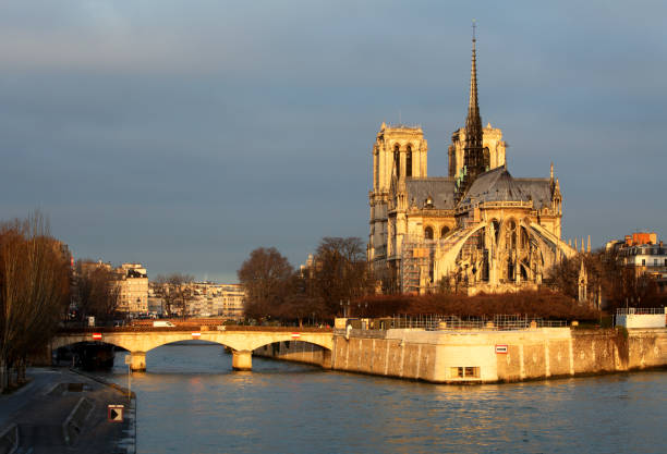 istock Notre Dame in Paris, France 658403888