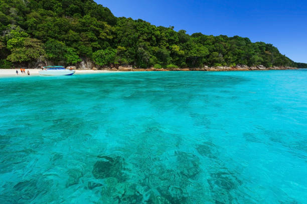 istock Beautiful tropical Andaman sea and blue sky 658413504