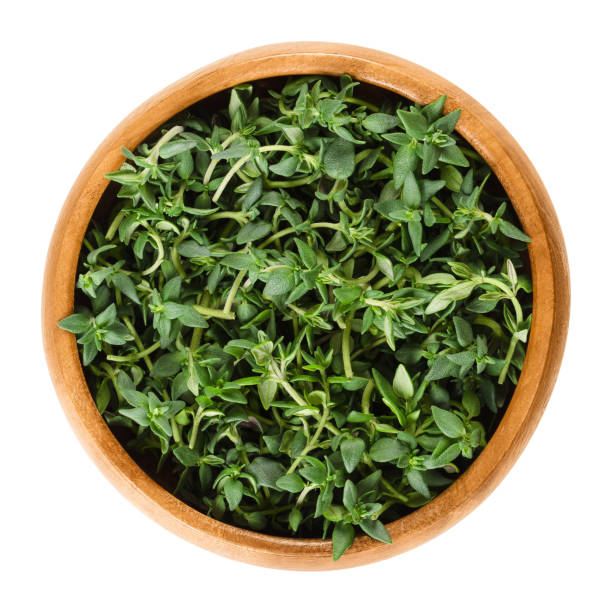 istock Fresh thyme stems in wooden bowl over white 658418498