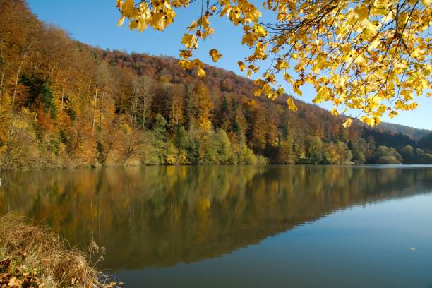 istock Lac de Lucelle (Lucelle Lake) and the forest with reflection in autumn. Panoramic view 658419018