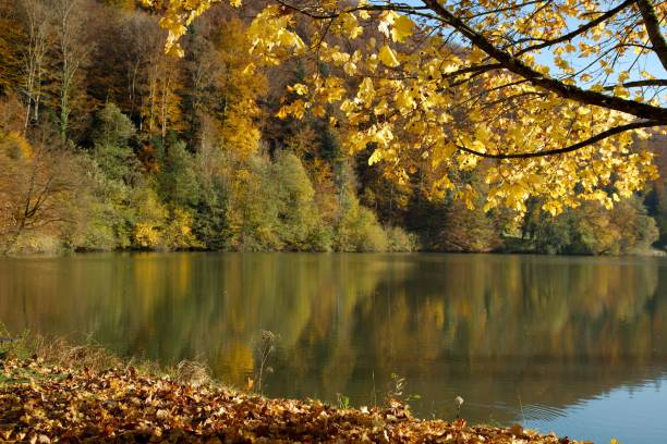 istock Autumn landscape on a sunny day. Lac de Lucelle (Lucelle Lake), Switzerland 658419032