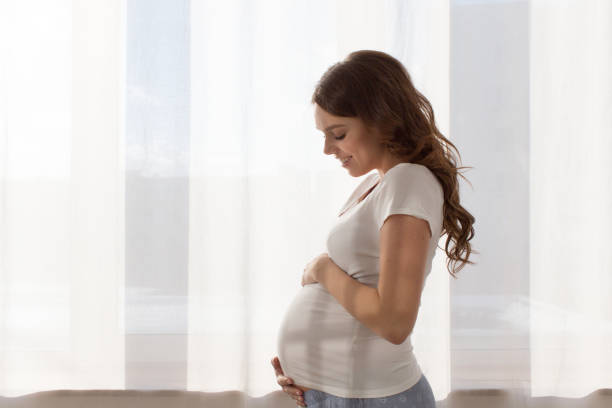 istock Pregnant woman touching belly 658422070