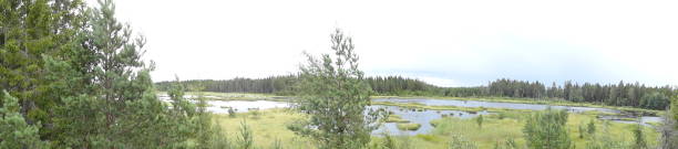 istock Hunneberg forest with cloudy sky in Sweden 658423006