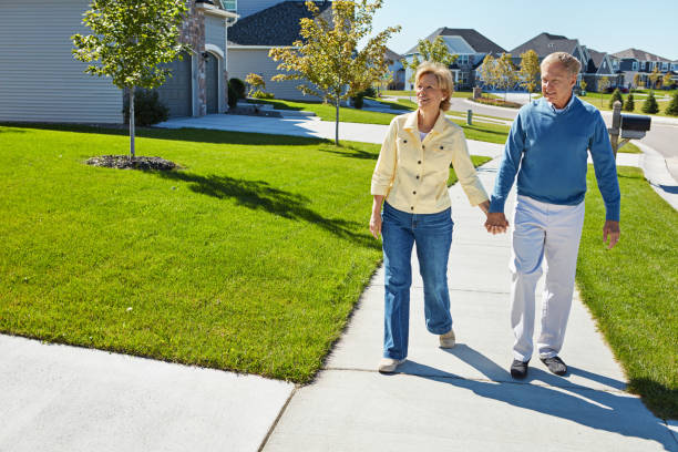 istock Out for a stroll in the suburbs 658425554