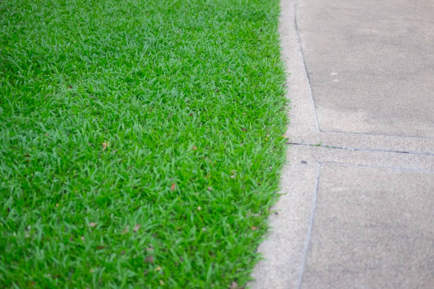 istock Close up half of stone walkway and grass 658431302