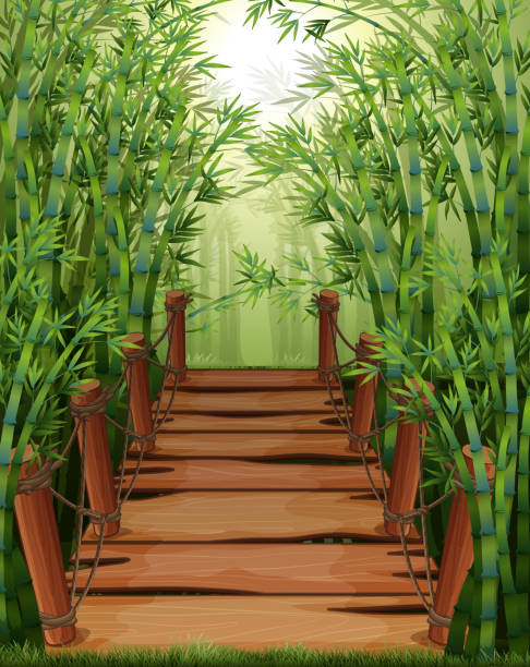 Bamboo forest with wooden bridge Bamboo forest with wooden bridge illustration bamboo bridge stock illustrations