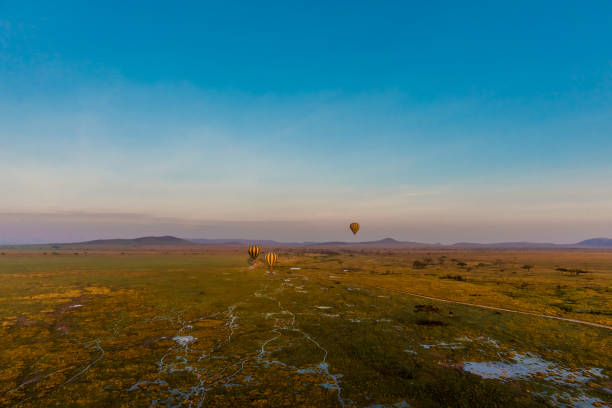 istock The Serengeti Landscape 658436154