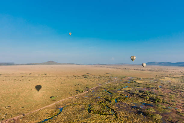 istock Serengeti Hot Air Balloon 658436462