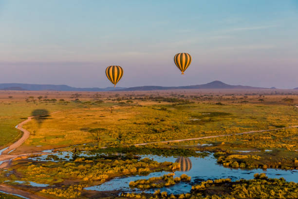 istock Serengeti Hot air Balloons 658436484
