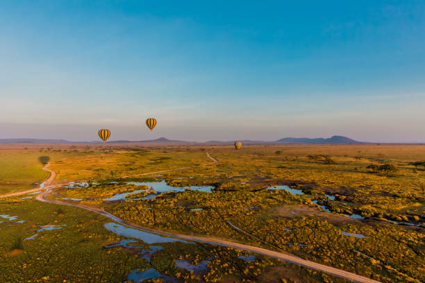 istock Serengeti Hot air Balloons 658436488