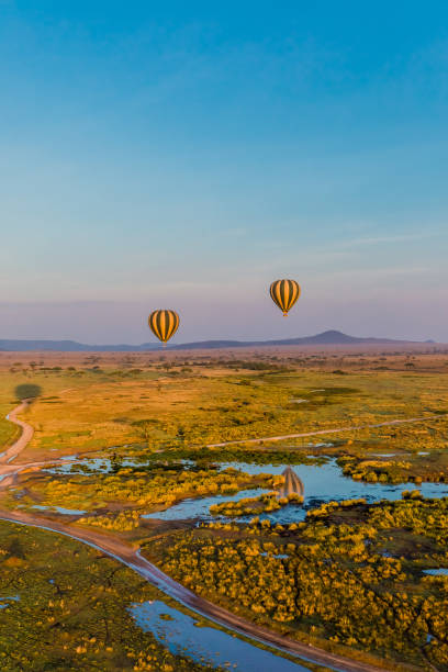 istock Serengeti Hot air Balloons 658436504