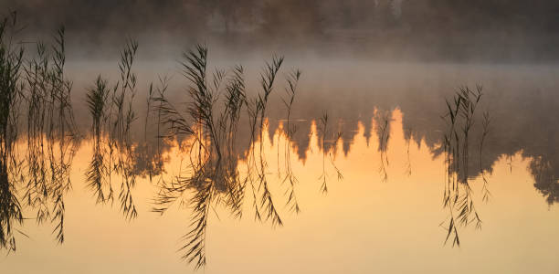 Sunrise on Jenoi pond near Diosjeno, Northern Hungary