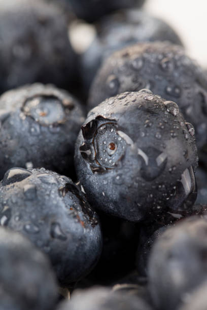 istock Fresh blueberry and waterdrops closeup on the white background 658451518