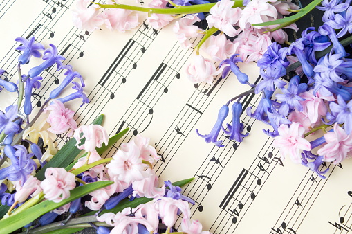 Music note sheet and colorful hyacinth flowers