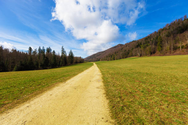 istock Countryside landscape with dirt road 658455530