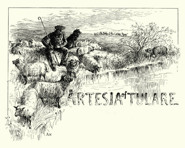 istock Shepherd and his dog protecting his flock of sheep 658462044