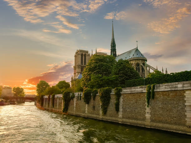 istock Cathedral Notre-Dame de Paris in springtime at sunset 658468776