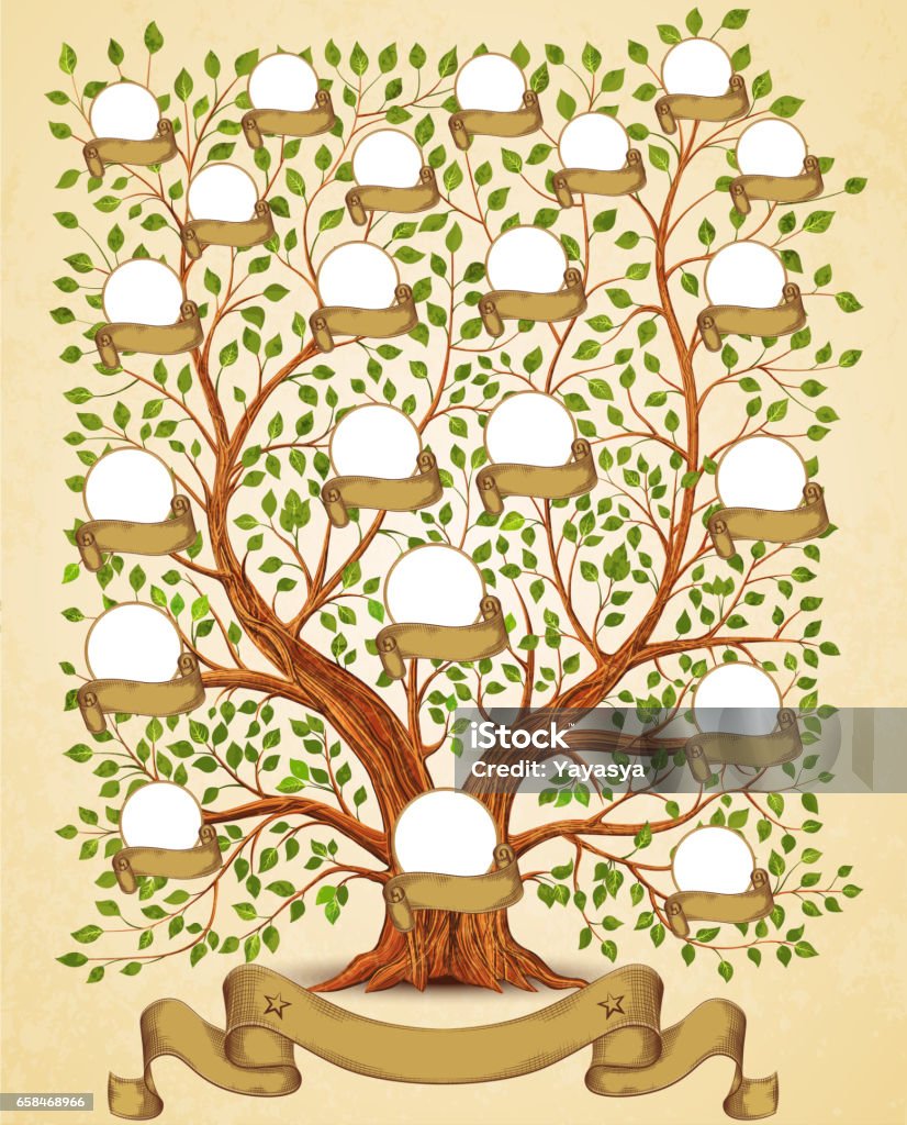 Illustration vintage de modèle arbre généalogique - Illustration de Arbre généalogique libre de droits