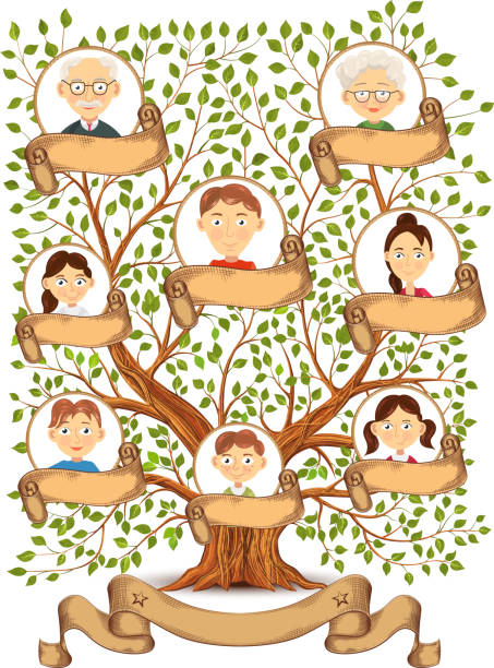 illustrations, cliparts, dessins animés et icônes de arbre généalogique des portraits d’illustration de membres de la famille - family tree illustration and painting creativity family