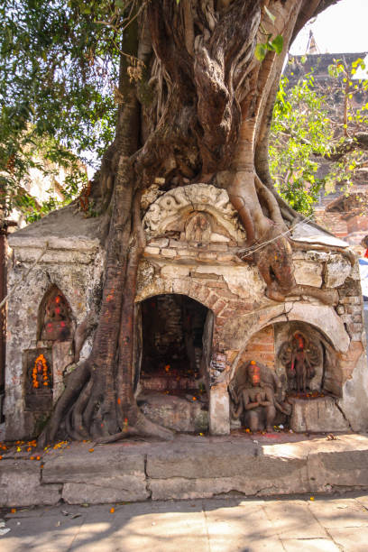 istock Ancient Hindu Temple strangled by a fig tree, Durbar Square, Kathmandu 658476114