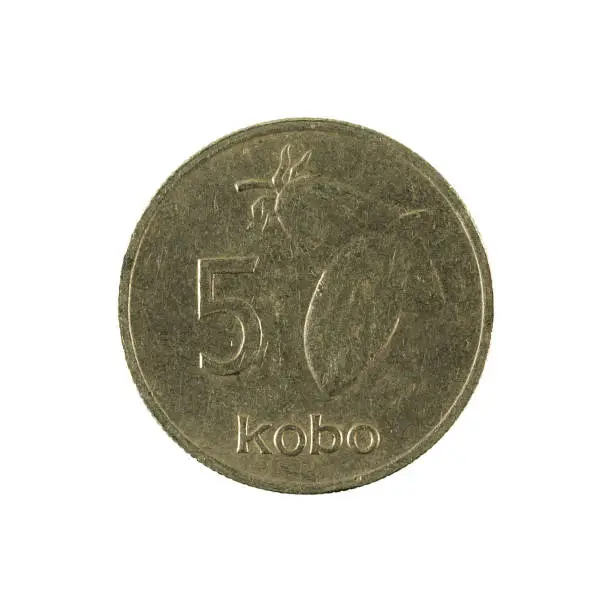 5 nigerian kobo coin (1988) obverse isolated on white background