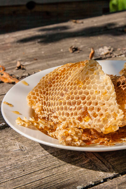 istock White plate with section of wax honeycomb from beehive 658487134