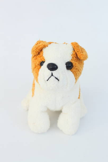 istock White dog doll with brown ears on white background. 658490600