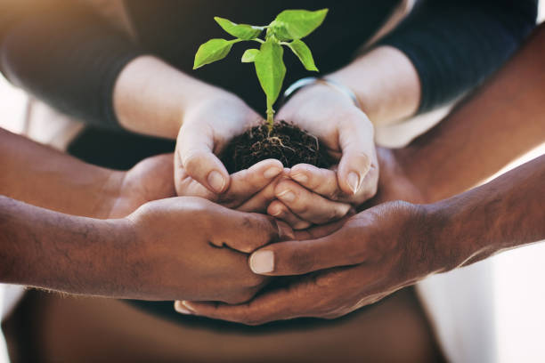 istock Getting hands on in the growth of business 658494754