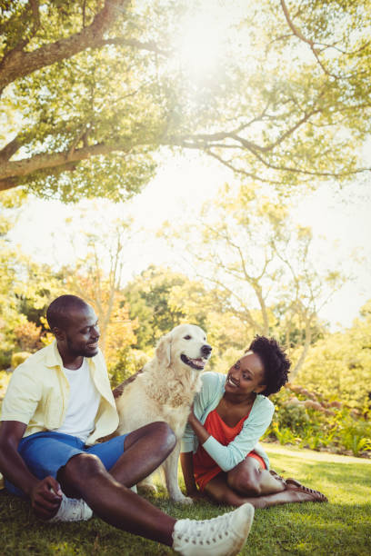 istock Couple posing with a dog 658501634