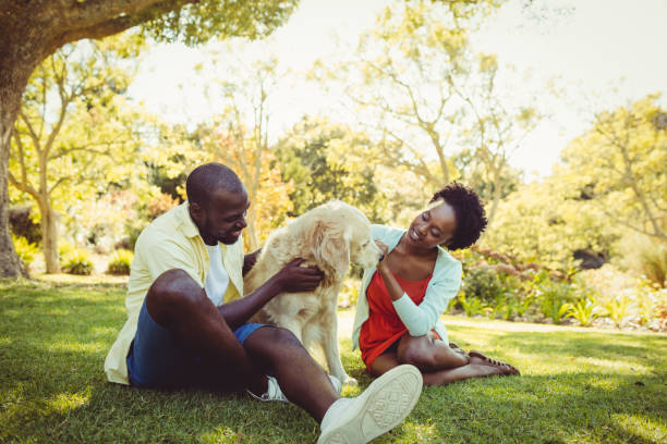 istock Couple posing with a dog 658501658