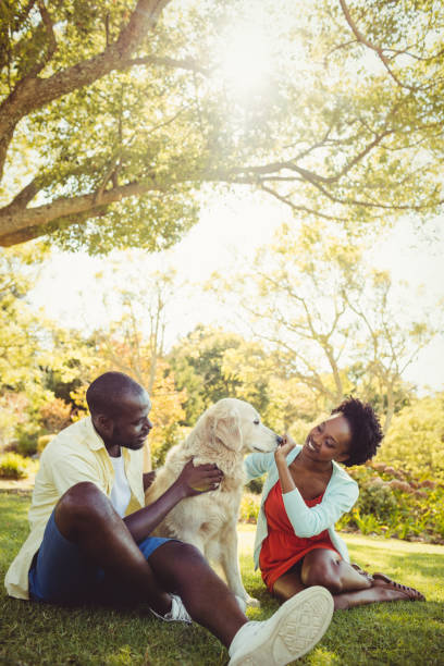 istock Couple posing with a dog 658501704