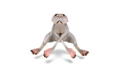 Digital Animation Of A Dancing Animal Stock Video - Download Video Clip Now - Humor, Cartoon, Animal - iStock Digital Animation Of A Dancing Animal Stock Video - Download Video Clip Now - Humor, Cartoon, Animal - iStock