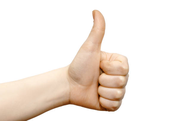 istock Thumb up, left wrist hand, cool, great job sign 658522146