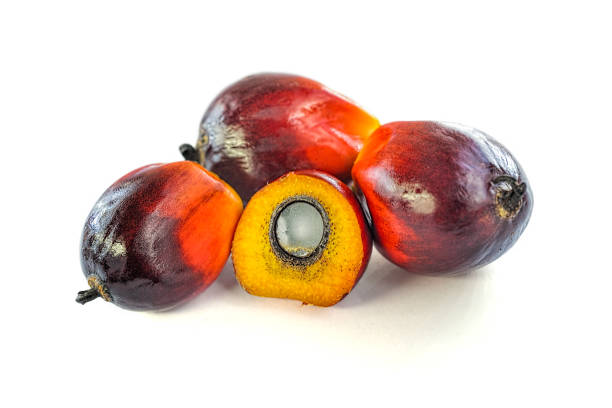 istock Palm Oil Fruits 658531294