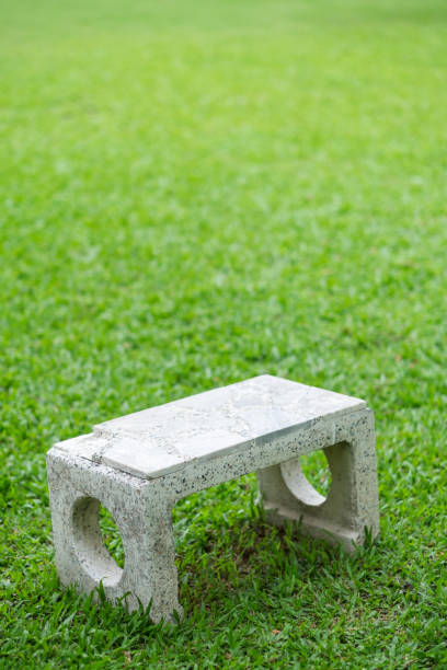 istock Old marble chair on green grass. 658531432