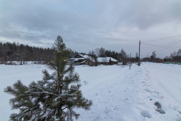 istock Winter in the Russian village 658535450
