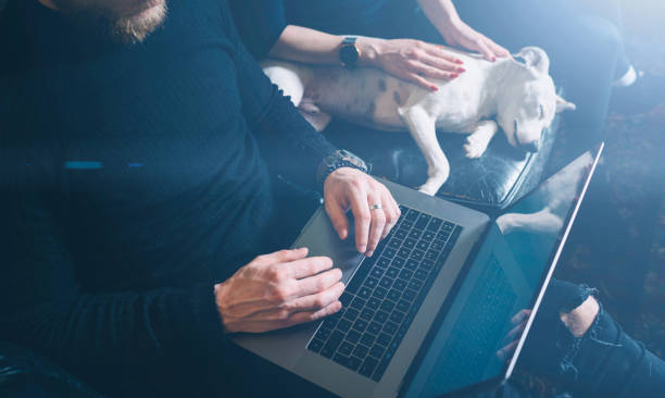 istock Bearded hipster working at the modern home.Man sitting in vintage sofa,using contemporary notebook.Woman and white dog resting close to him.Horizontal,visual effects. 658556054