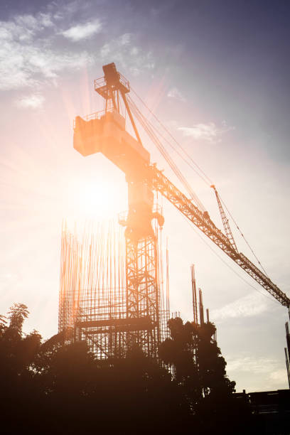 istock Crane silhouette at the sunset 658558094