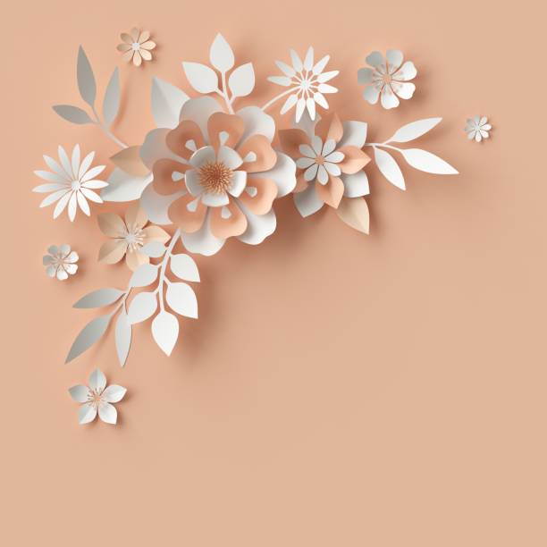 istock 3d render, abstract paper flowers, bridal bouquet, decorative floral design elements. peachy rose pink background 658558326