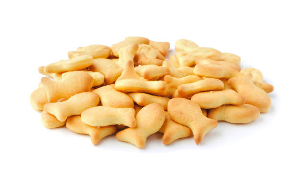istock Cookies fish isolated on white 658565176