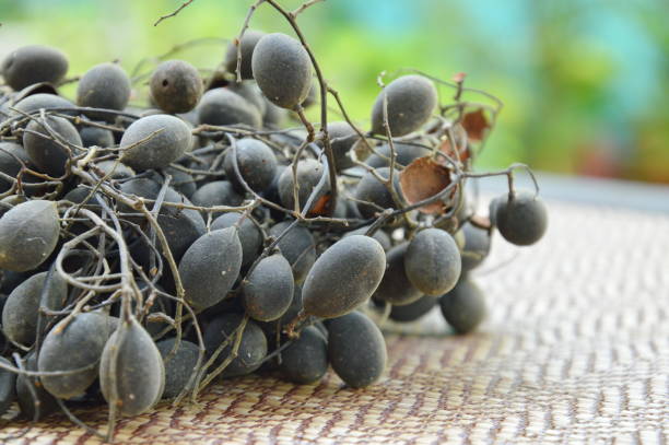 istock velvet tamarind tropical fruit on bamboo mat 658565212